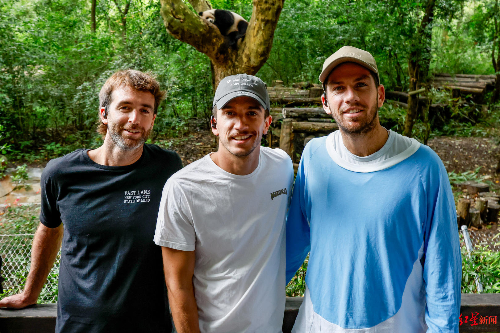 tenan, 言表示, img